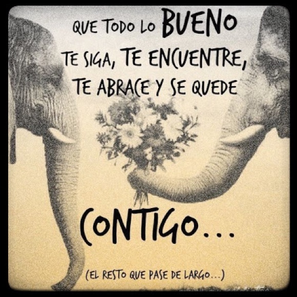 Meet your Posher, Laryssa - Picture 1 of 1